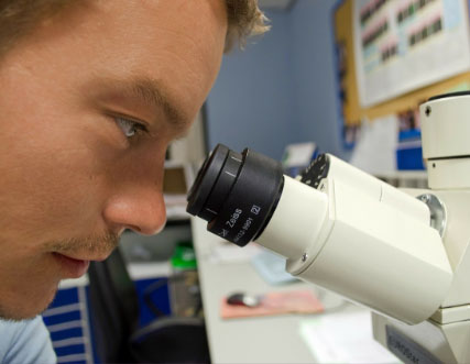 biology, man is looking in the microscope